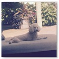Album 13
Karin Stoll: I can't begin to tell you the joy she brings us every minute of everyday she is a doll!