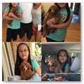 Album 13
Harry's new family