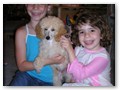 Album 5
A new puppy!