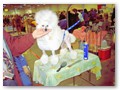 Album 5
Beautiful Maddie loving the dog show!