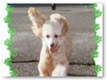 Album 5
Wow! It's Mitzi!