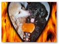 Album 5
Meet Mitzi & Maddie!