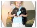 Album 5
Robbie, a black Geo son and Nikki, a brown Beemer daughter. What cuties!
