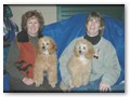 Album 5
These pretty boys are our Treasure's brothers. They live in Tennessee and are learning agility with Lisa Harrison and Linda Hargett and will be shown in conformation by Camille. It will be a lot of fun watching these fellas!