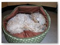 Album 8
Harpo's owner writes:
Here’s a new photo of Harpo – sound asleep in a small dog bed (I keep one in the kitchen so he can be comfortable while I cook). I think he’s begun to grow out of the habit of seeing his beds as toys. He chewed up about 4 previous beds!