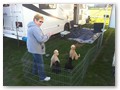 Album 9
Maryanne and her Barclay poodles